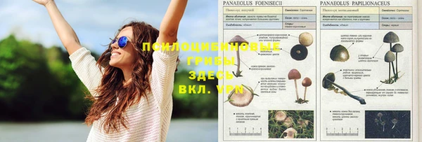 гидра Медвежьегорск
