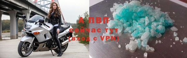 спайс Магас