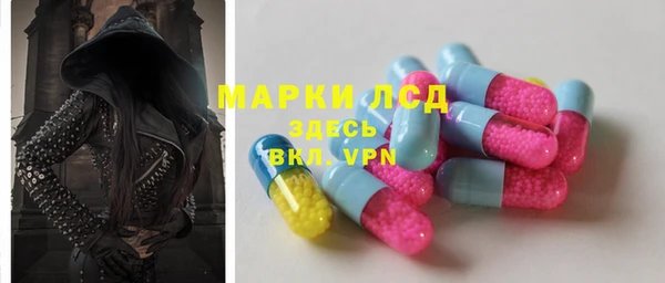 стафф Долгопрудный