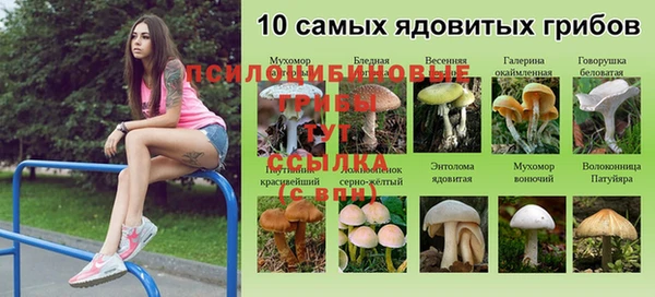 герыч Магадан