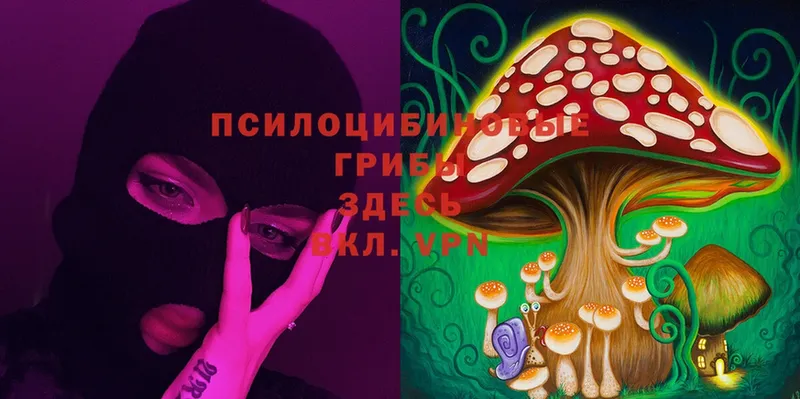 Галлюциногенные грибы Psilocybine cubensis  Иланский 